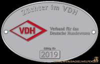 VDH+Z%FCchterplaktte+2019 | Zufallsbild