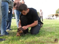 181 | Hundeführerlehrgang 2009